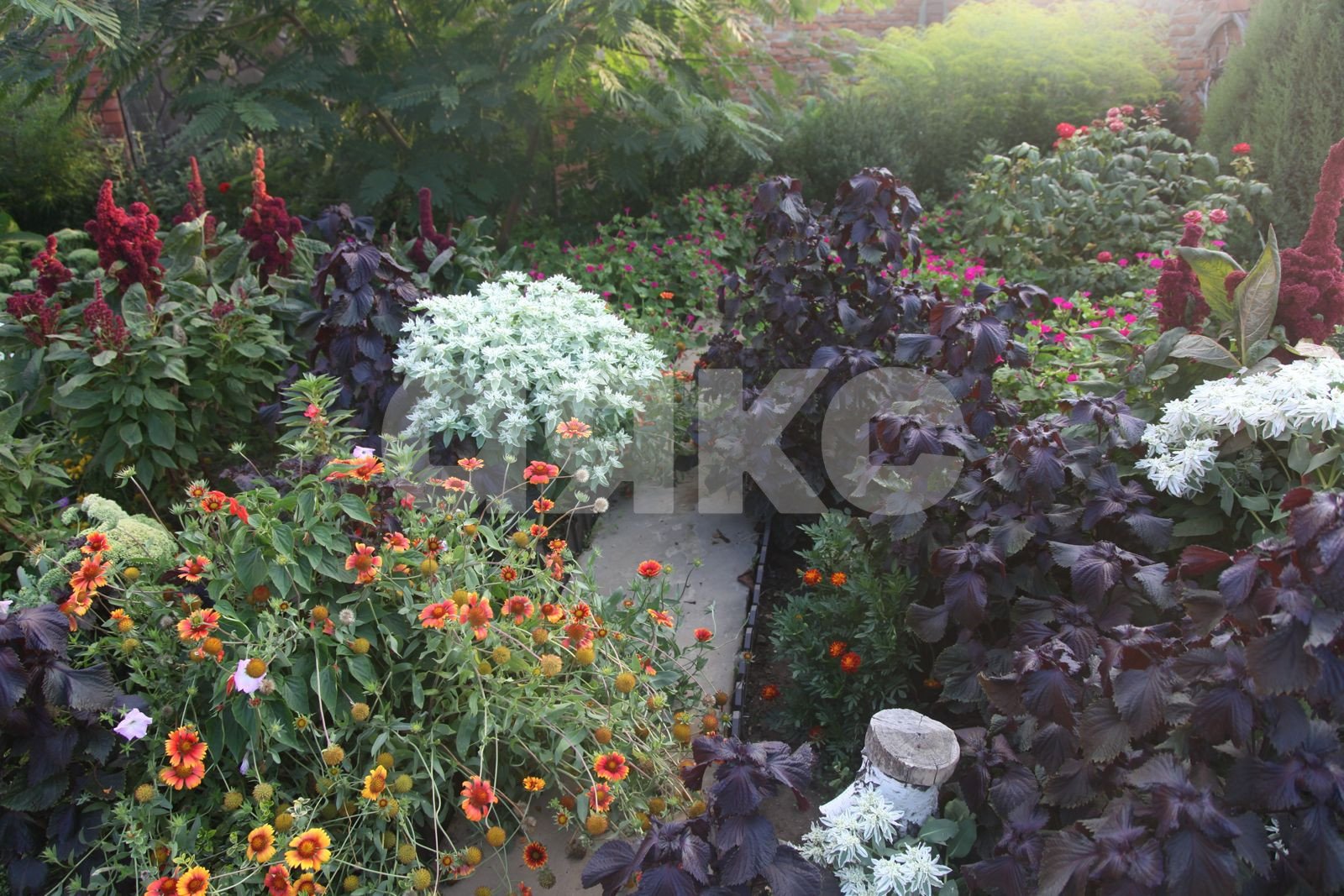 Фото №23: Коттедж 470 м² + 16.7 сот. - Курчанская, ул. Красная