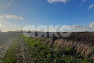 Фото №4: Личное подсобное хозяйство - Темрюк, п. Комсомольский, 