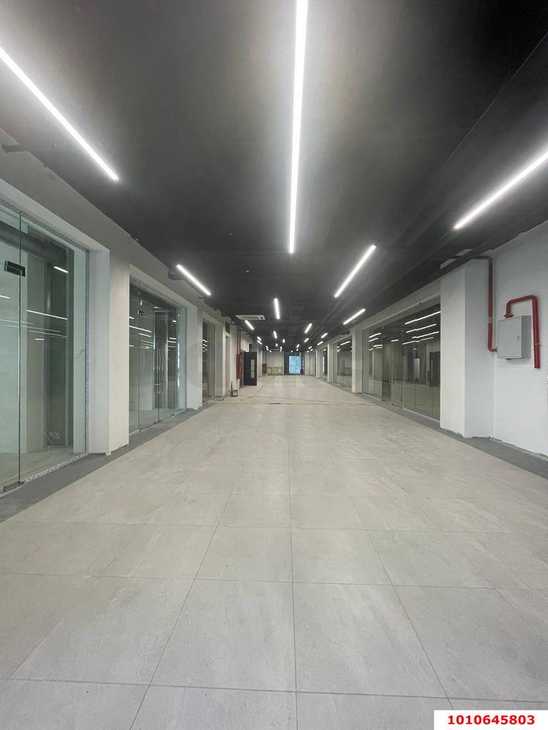 Фото №7: Торговое помещение 2000 м² - Краснодар, Западный внутригородской округ, ул. Рашпилевская, 251