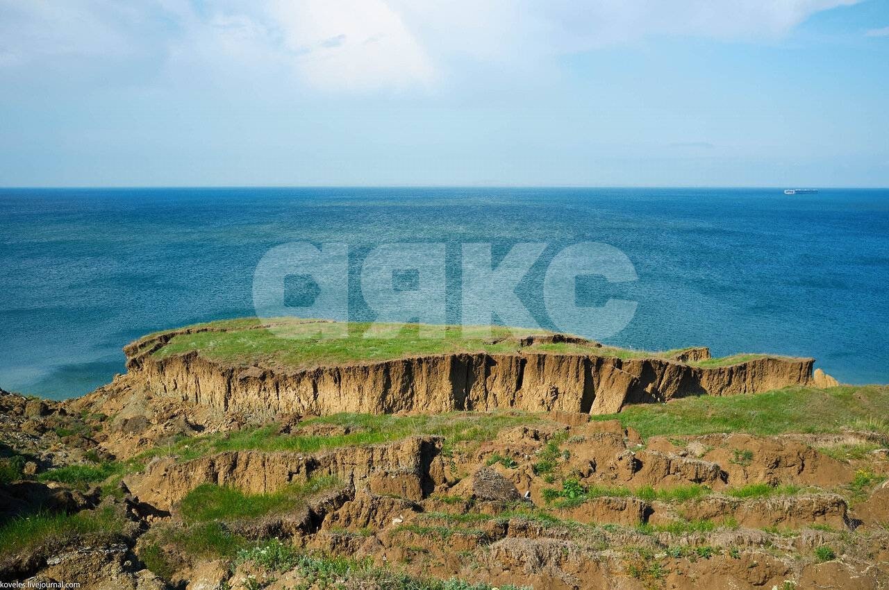 Фото №5: Личное подсобное хозяйство 188.45 сот. - Таманский, 