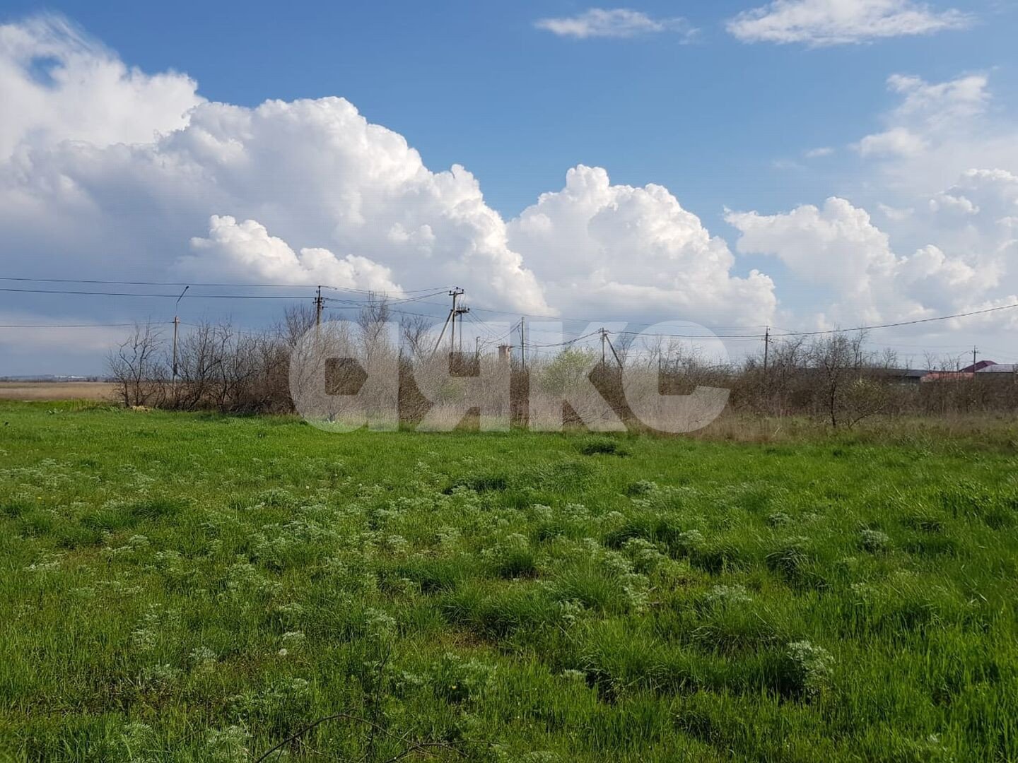 Фото №4: Личное подсобное хозяйство 9.8 сот. - Голубицкая, пер. Лазурный