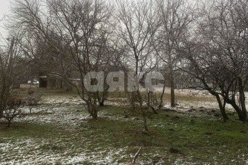 Фото №3: Личное подсобное хозяйство - Октябрьский, ул. Октябрьская, 6Б