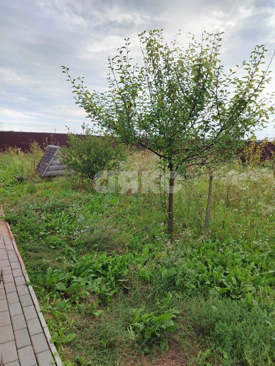Фото №18: Дом 38 м² + 6 сот. - территория Аргуново-2, 153