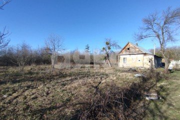 Фото №5: Личное подсобное хозяйство - Кутаисская, ул. Ленина