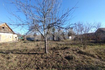Фото №2: Личное подсобное хозяйство - Кутаисская, ул. Ленина