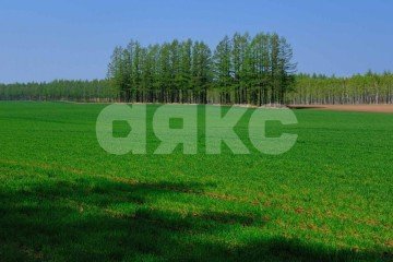 Фото №2: Участок садоводство - Кармир-Астх, ул. Центральная