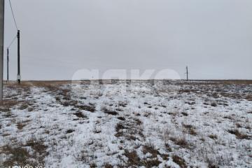 Фото №4: Земельный участок под ИЖС - Царицын, ул. Рубиновая