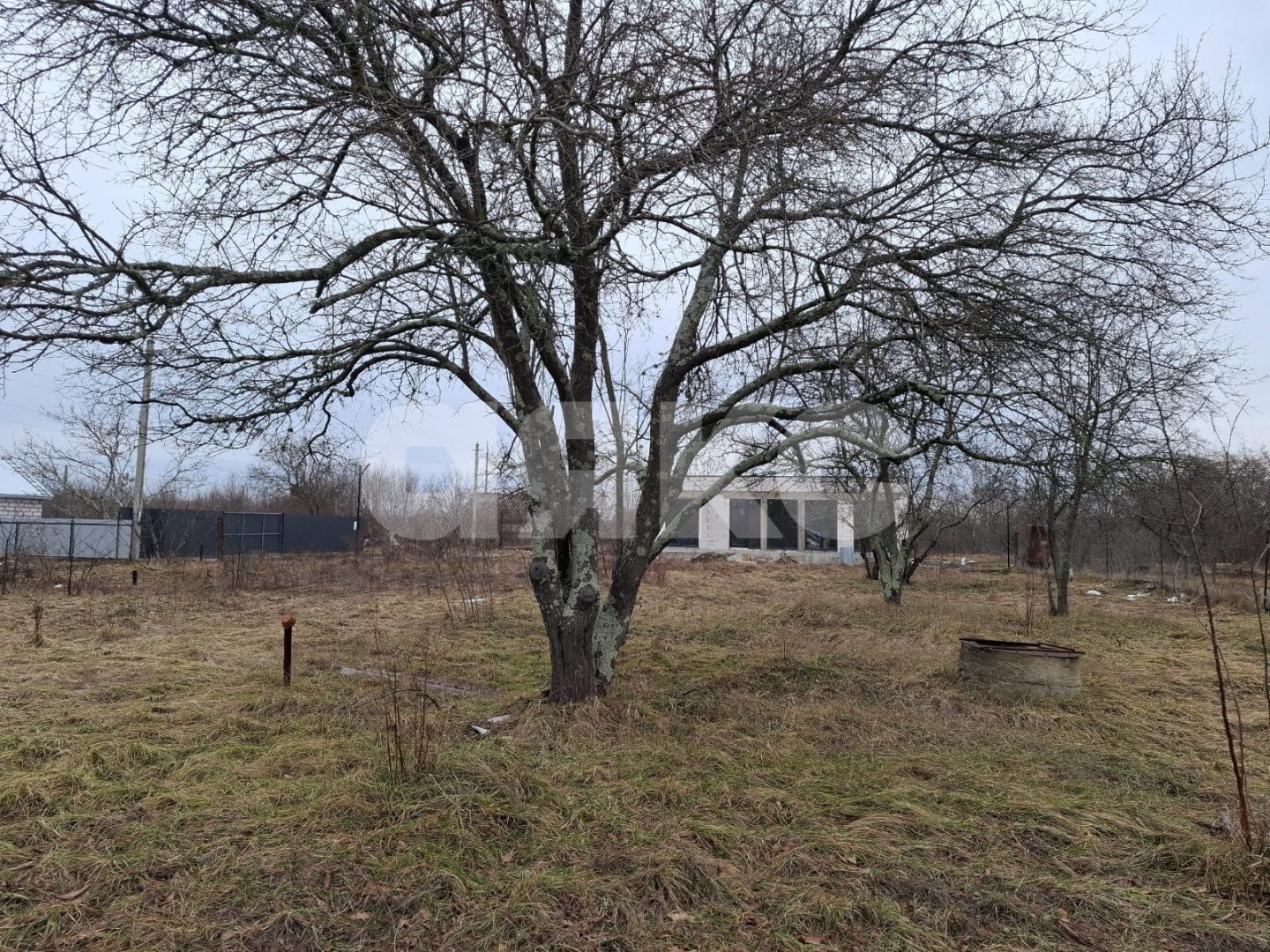 Фото №2: Участок садоводство 5.2 сот. - ДНТ Импульс, ул. Линейная