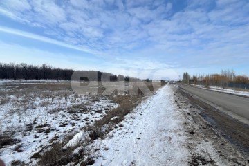 Фото №5: Земельный участок под ИЖС - Бурковский, ул. Дубравная