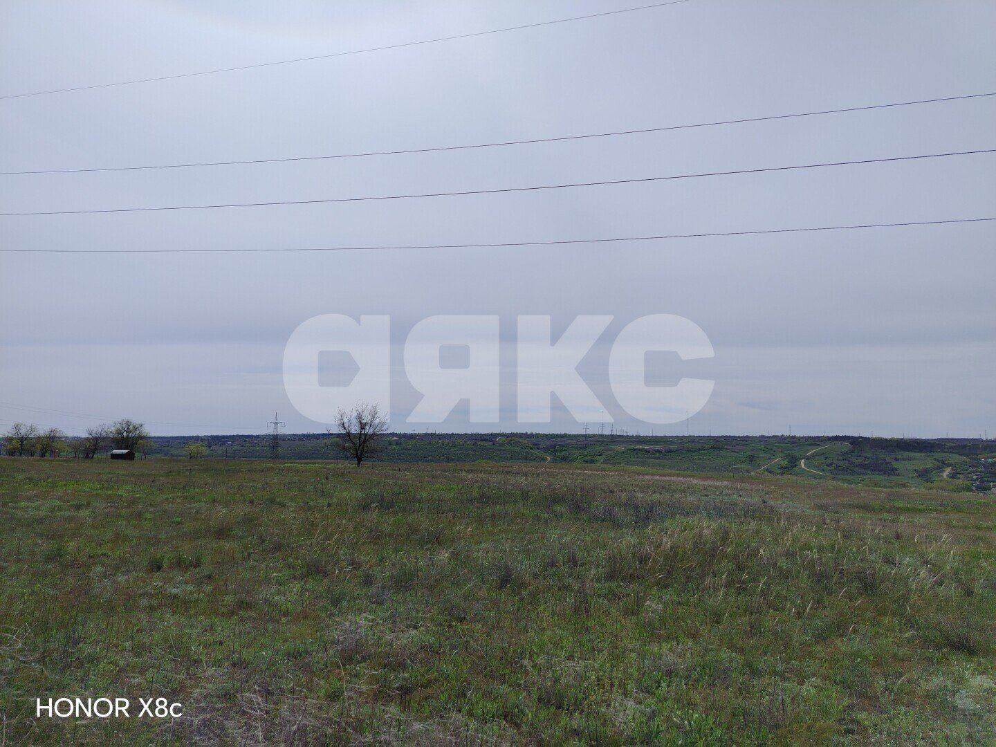 Фото №5: Участок садоводство 10 сот. - Царицын, снт Соловьиная Роща, ул. Берёзовая, 17