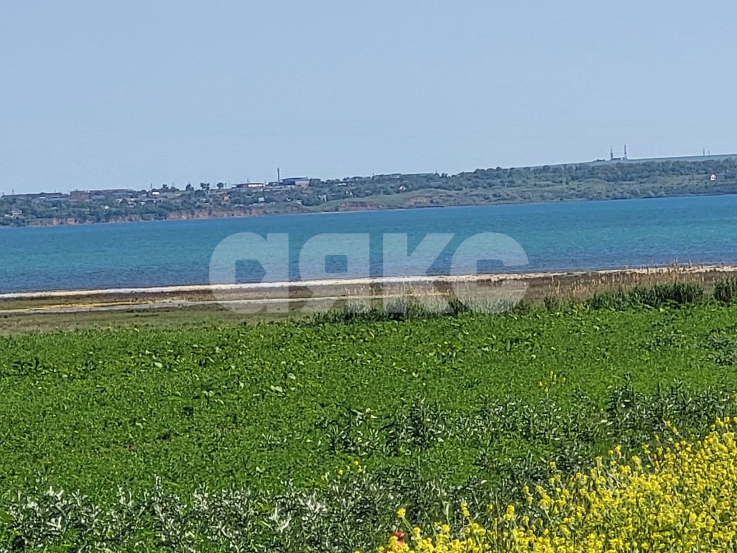 Фото №4: Коммерческая земля 187 сот. - Волна, ул. Садовая, 27