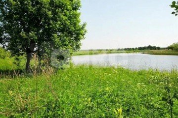 Фото №2: Коммерческая земля - СНТ Красноречье, ул. Удобная