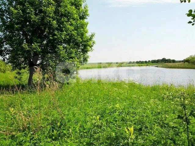 Фото №2: Коммерческая земля 9 сот. - СНТ Красноречье, ул. Удобная