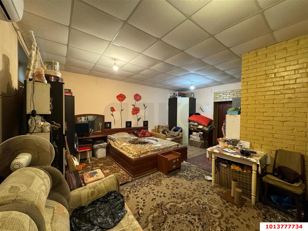 Фото №1: Студия 33 м² - Краснодар, Молодёжный, ул. Душистая