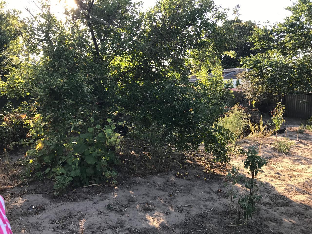 Фото №20: Дом 79 м² + 8 сот. - Тбилисская, ул. Красная, 36