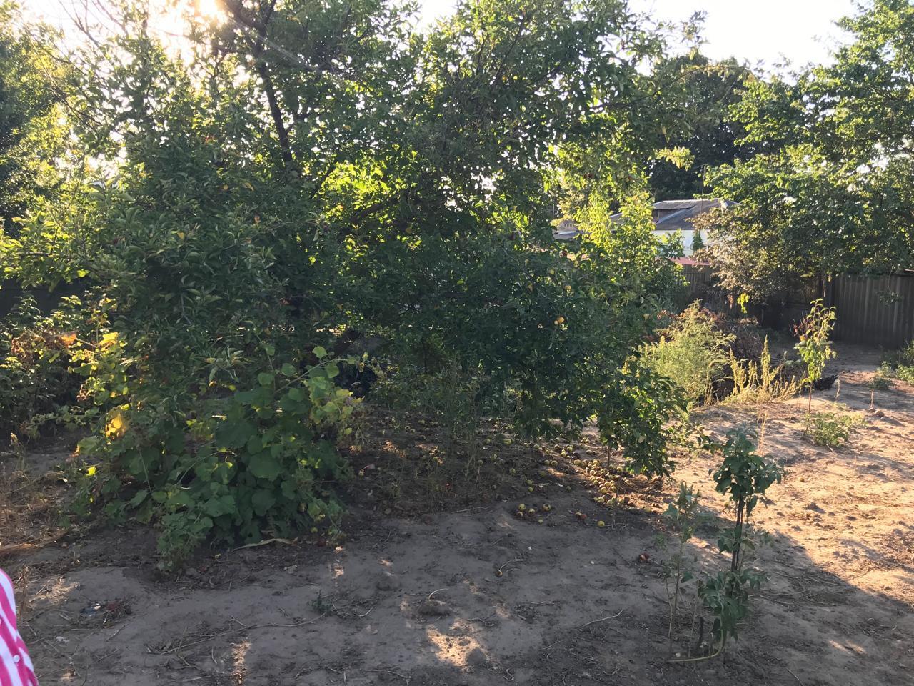 Фото №16: Дом 79 м² + 8 сот. - Тбилисская, ул. Красная, 36