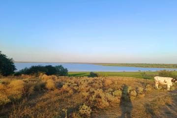 Фото №1: Земельный участок 6 сот. - Старокорсунская, мкр. Карасунский внутригородской округ, пер. Закрытый