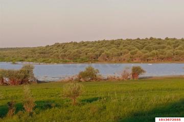 Фото №5: Земельный участок 6 сот. - Старокорсунская, мкр. Карасунский внутригородской округ, пер. Закрытый