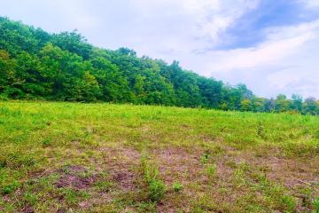 Фото №3: Земельный участок 13.2 сот. - Азовская, мкр. Сакли, 4