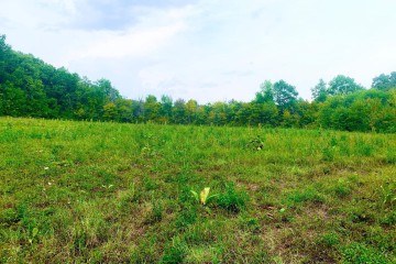 Фото №4: Участок садоводство 13.2 сот. - Азовская, мкр. Сакли, 4