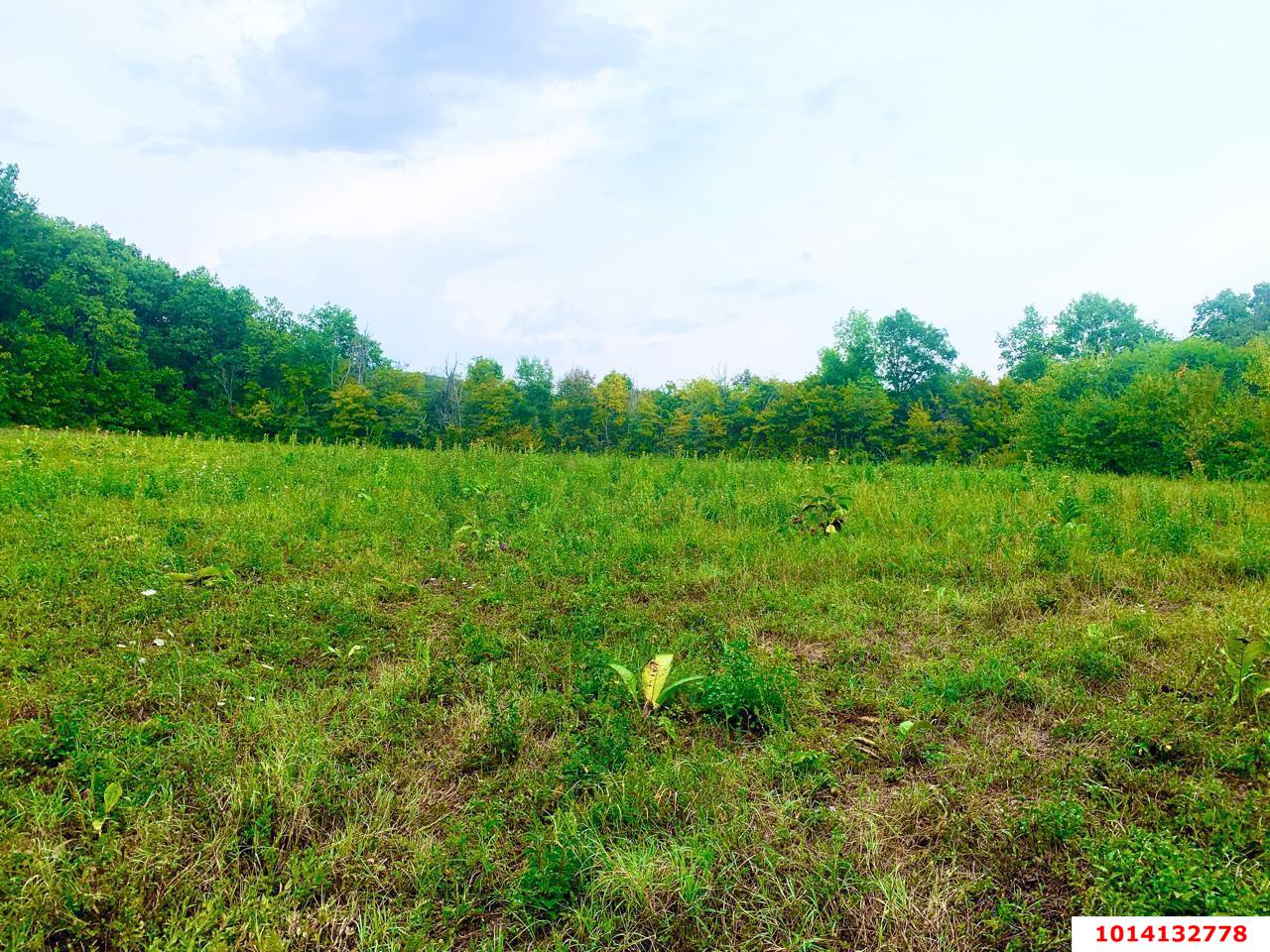 Фото №4: Личное подсобное хозяйство - Азовская, мкр. Сакли, 4