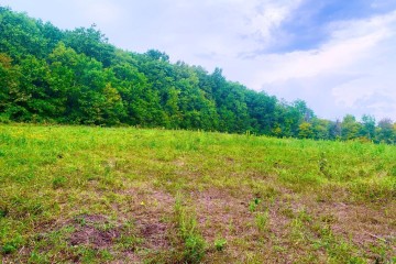 Фото №3: Участок садоводство 13.2 сот. - Азовская, мкр. Сакли, 4