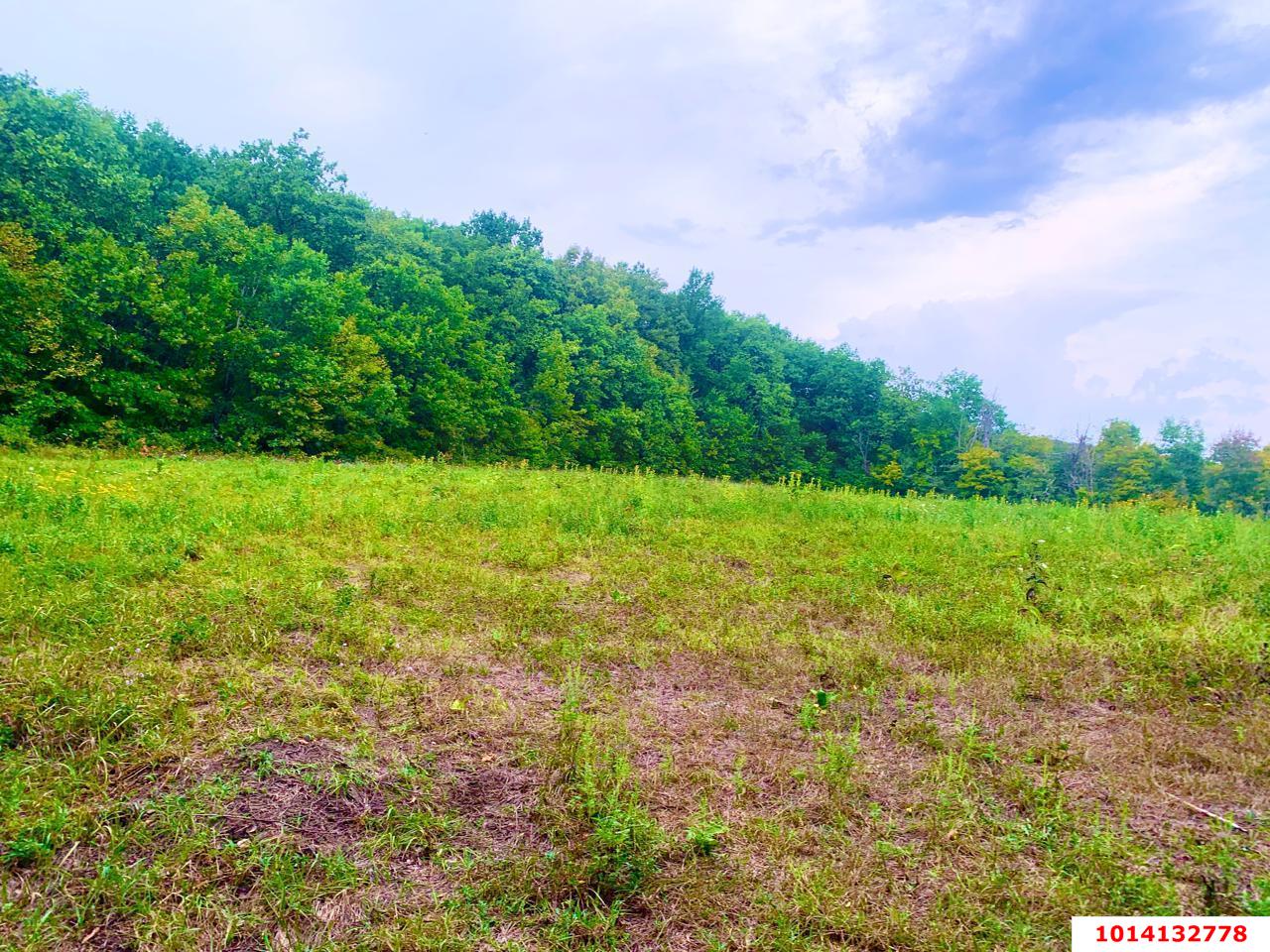 Фото №3: Участок садоводство 13.2 сот. - Азовская, Сакли, 4