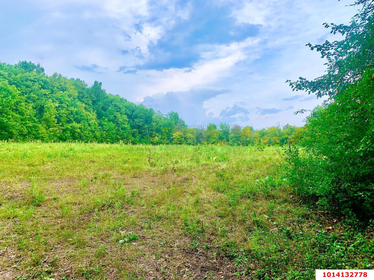 Фото №2: Личное подсобное хозяйство - Азовская, мкр. Сакли, 4