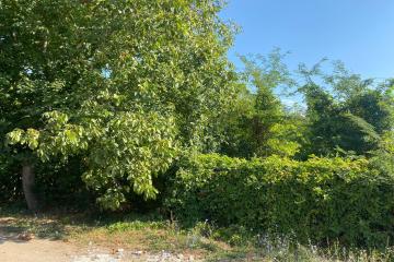 Фото №5: Земельный участок 8.5 сот. - Шарм, мкр. Прикубанский внутригородской округ, ул. Садовая, 106