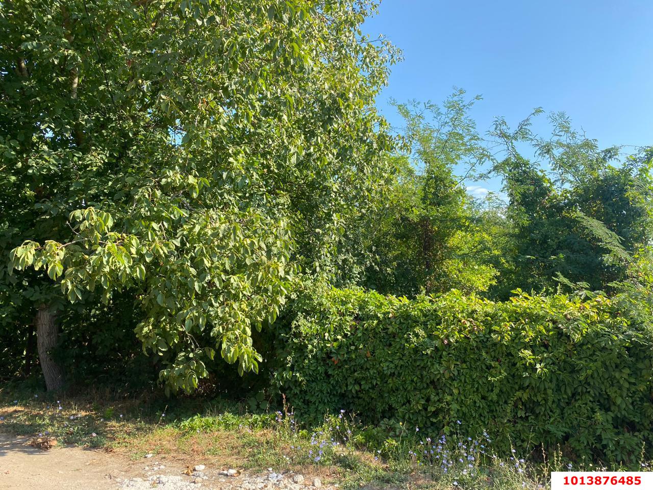 Фото №5: Земельный участок 8.5 сот. - Шарм, мкр. Прикубанский внутригородской округ, ул. Садовая, 106