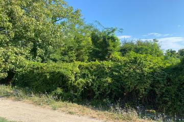 Фото №1: Земельный участок 8.5 сот. - Шарм, мкр. Прикубанский внутригородской округ, ул. Садовая, 106