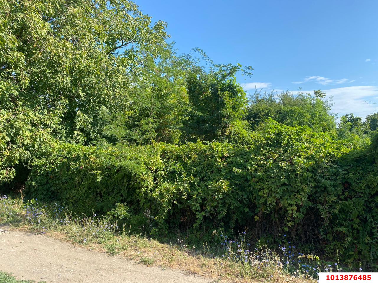 Фото №1: Земельный участок 8.5 сот. - Шарм, мкр. Прикубанский внутригородской округ, ул. Садовая, 106