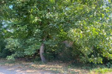 Фото №3: Земельный участок 8.5 сот. - Шарм, мкр. Прикубанский внутригородской округ, ул. Садовая, 106