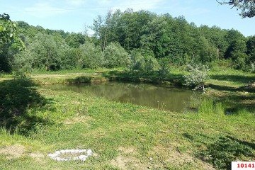Фото №4: Земельный участок под ИЖС 75.17 сот. - Хребтовое, ул. Изумрудная, 13