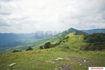 Фото №3: Земельный участок под ИЖС 75.17 сот. - Хребтовое, ул. Изумрудная, 13