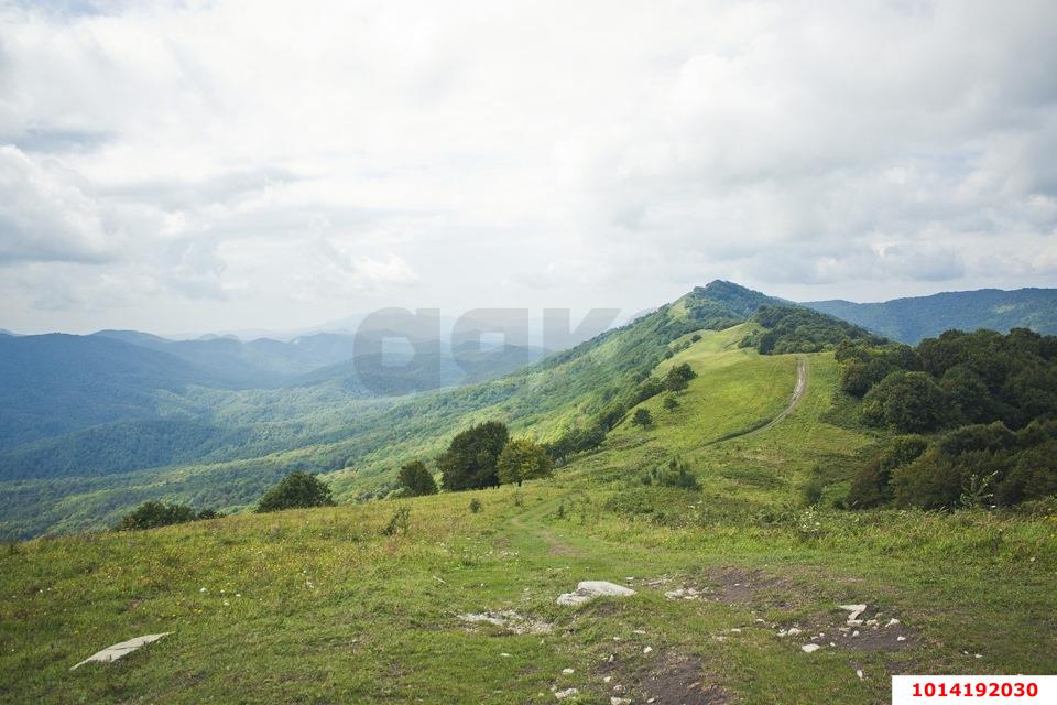 Фото №3: Земельный участок под ИЖС - Хребтовое, ул. Изумрудная, 13