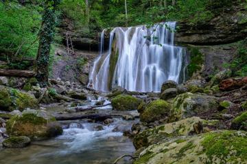 Фото №5: Земельный участок 75.17 сот. - Хребтовое, ул. Изумрудная, 13