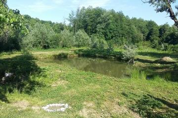 Фото №4: Земельный участок 75.17 сот. - Хребтовое, ул. Изумрудная, 13