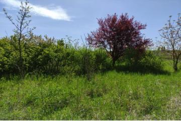 Фото №3: Коммерция 200 м² - Курчанская, ул. Набережная, 1