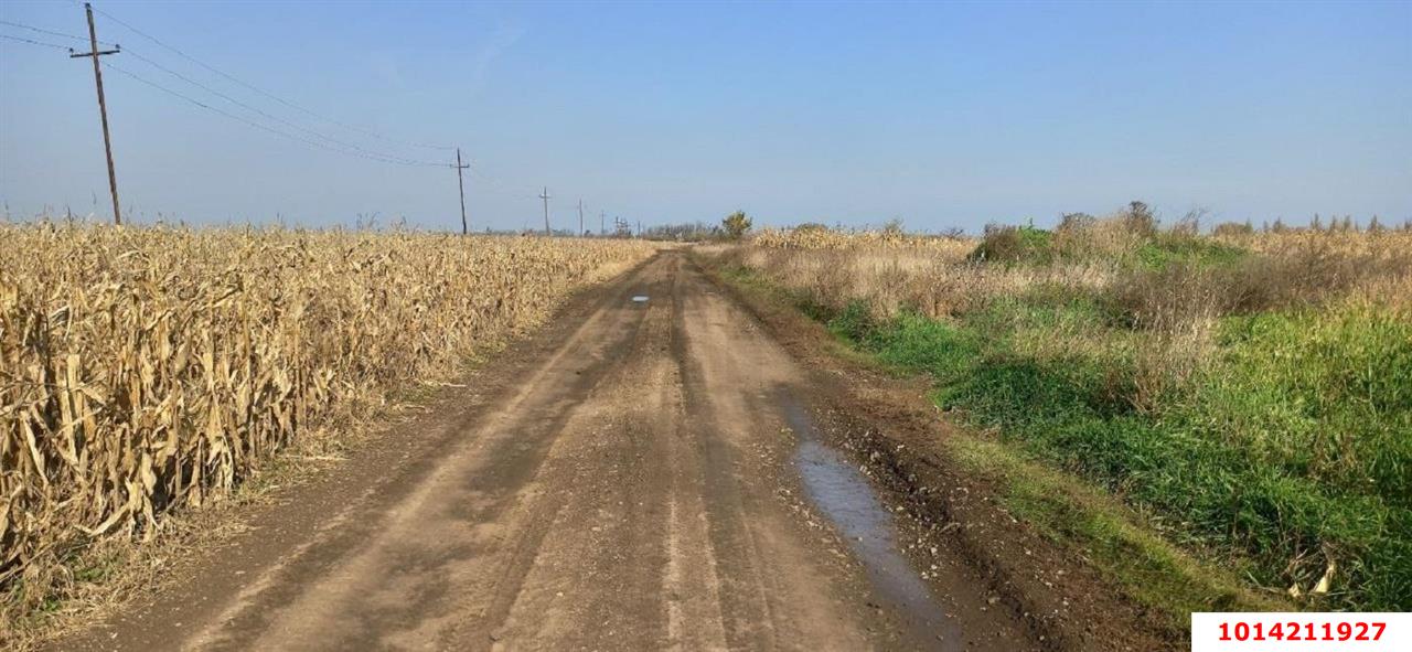 Фото №2: Коммерческая земля 306 сот. - Свободный, ул. Садовая, 26