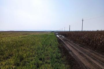 Фото №4: Коммерция 305 м² - Свободный, ул. Садовая, 26