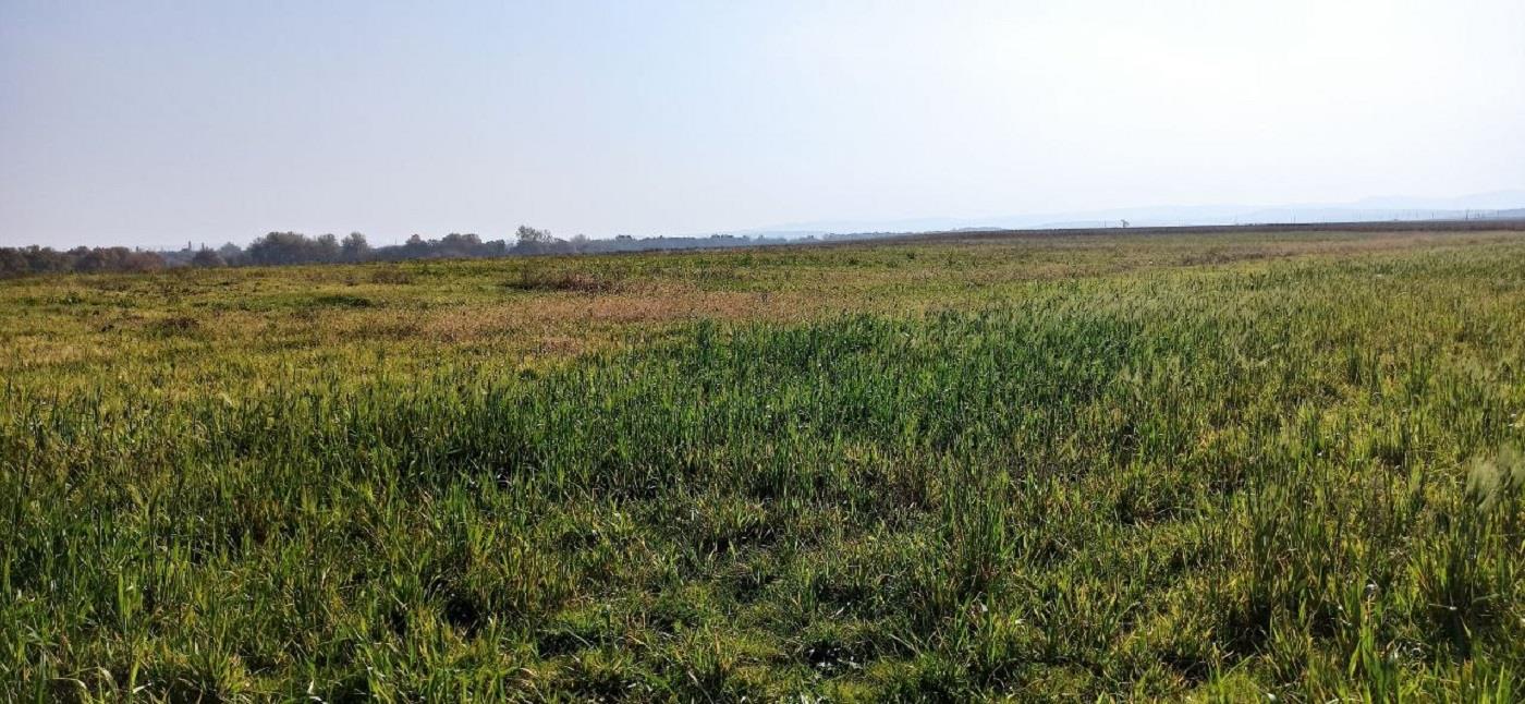 Фото №6: Коммерция 305 м² - Свободный, ул. Садовая, 26