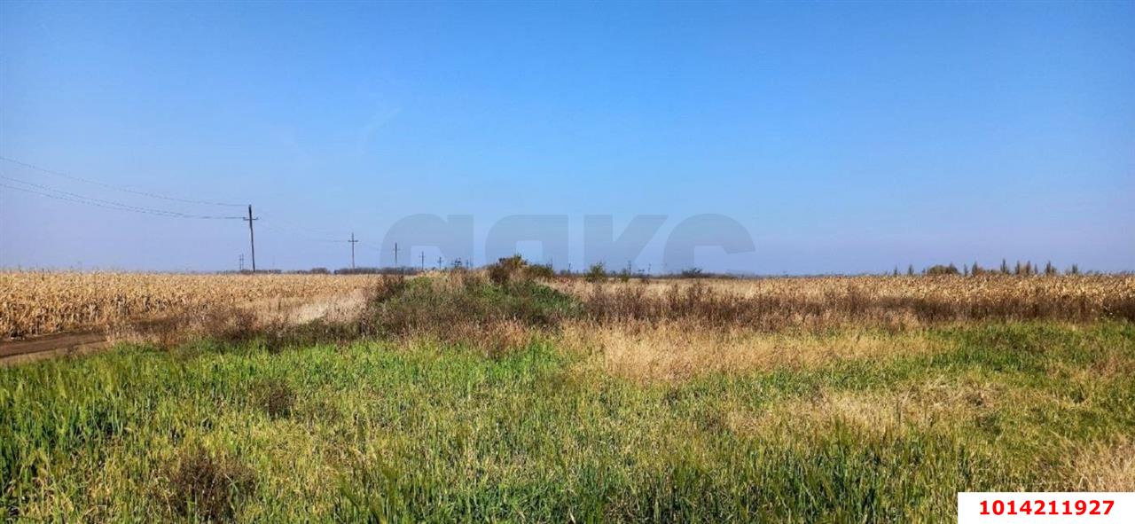 Фото №7: Коммерческая земля 306 сот. - Свободный, ул. Садовая, 26