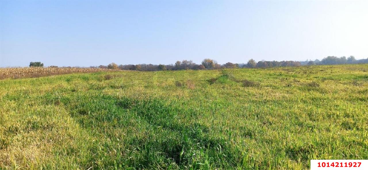 Фото №5: Коммерческая земля 306 сот. - Свободный, ул. Садовая, 26