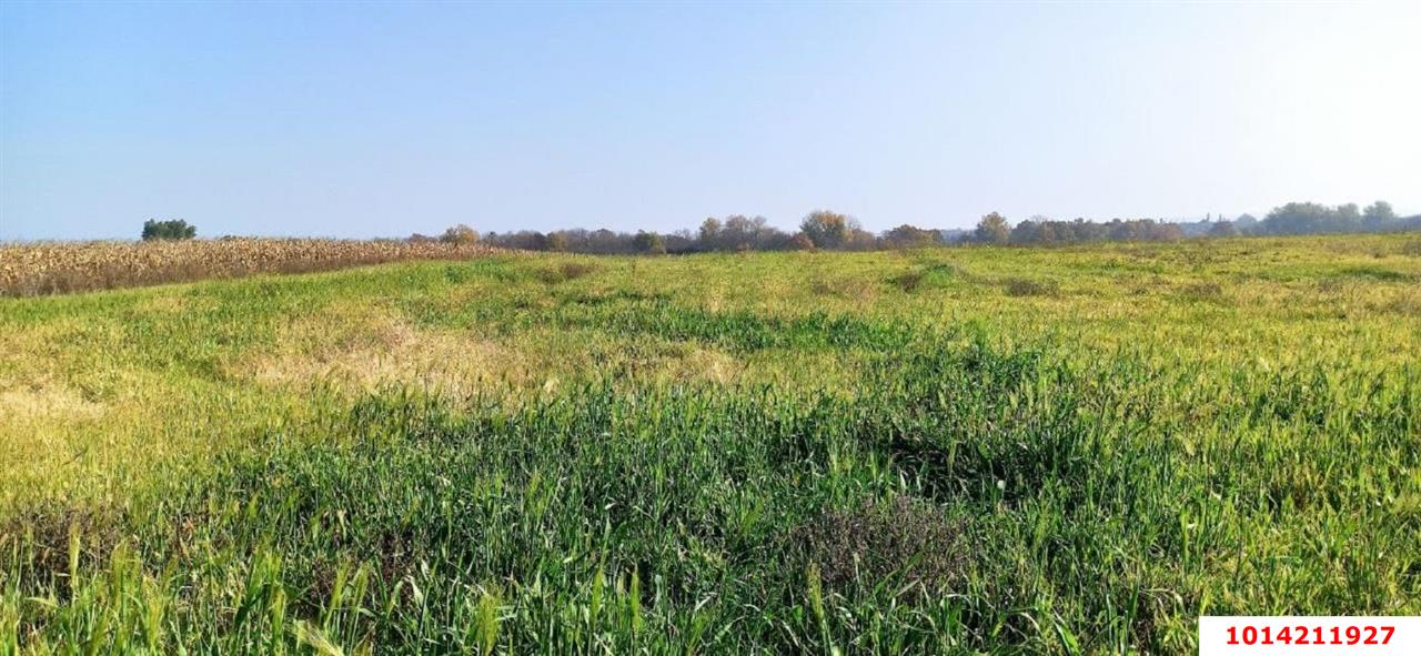 Фото №1: Коммерческая земля 306 сот. - Свободный, ул. Садовая, 26