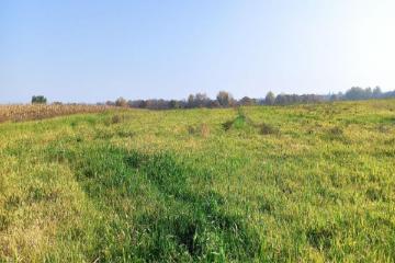 Фото №5: Коммерция 305 м² - Свободный, ул. Садовая, 26