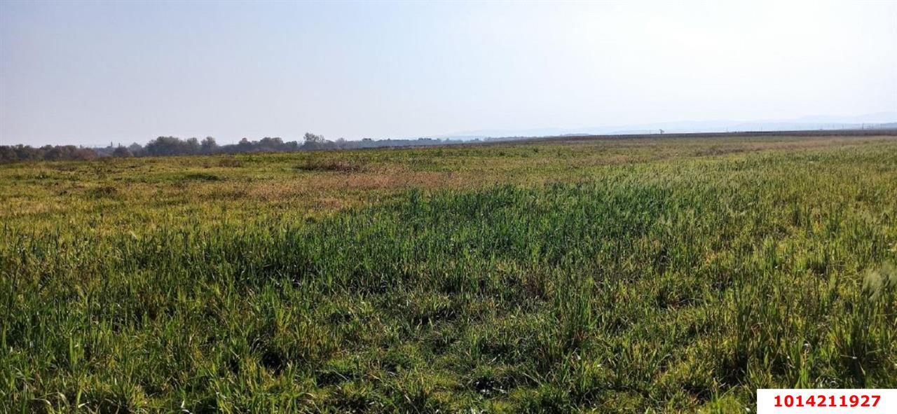 Фото №6: Коммерческая земля 306 сот. - Свободный, ул. Садовая, 26