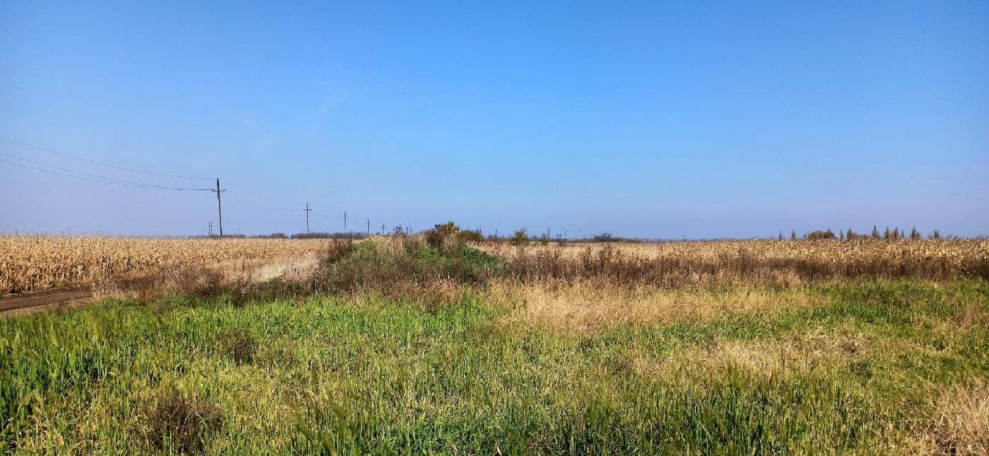 Фото №7: Коммерция 305 м² - Свободный, ул. Садовая, 26