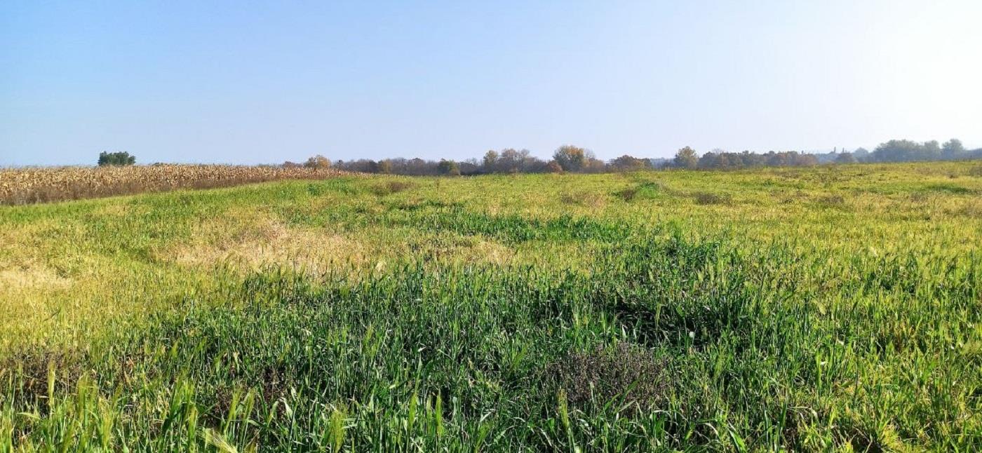 Фото №1: Коммерция 305 м² - Свободный, ул. Садовая, 26