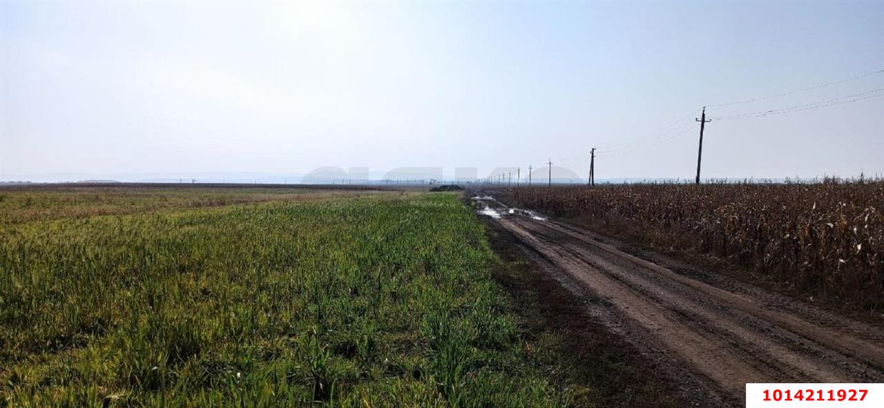 Фото №4: Коммерческая земля 306 сот. - Свободный, ул. Садовая, 26